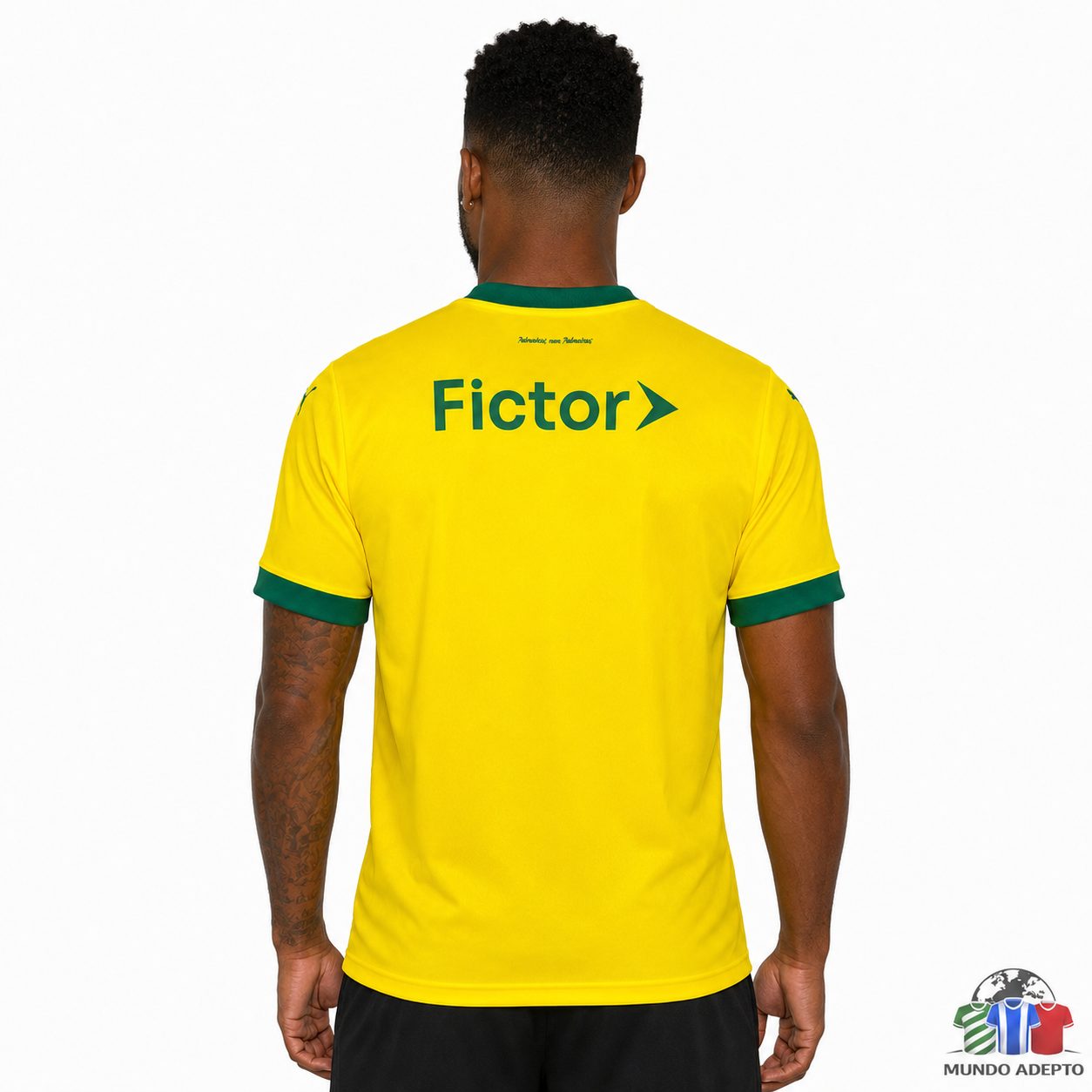 Camisola Camisola Palmeiras Terceira - 25/26